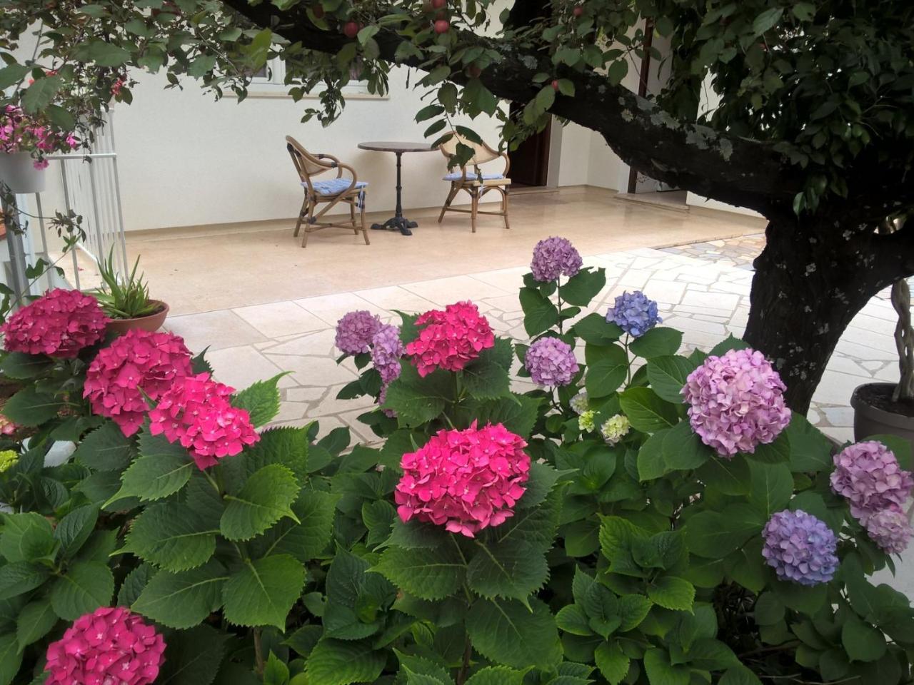 Appartement Frlan Kastav